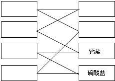 粗盐中一般含有CaCl2、MgCl2、CaSO4和MgSO4杂质.化学学习中分类的方法是无可替代的.如图是对粗盐中可溶性杂质的一种分类,请将粗盐中的杂质C 魔方格
