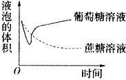 实验室有2瓶质量分数均为30%的葡萄糖溶液和蔗糖溶液。由于不慎丢失了瓶上粘贴的标签。某同学根据质壁分离原理用紫色洋葱鳞片叶的表皮细胞进行了鉴定实验( 实验室有2瓶质量分数均为30%的葡萄糖溶液和蔗糖溶液。由于不慎丢失了瓶上粘贴的标签。某同学根据质壁分离原理用紫色洋葱鳞片叶的表皮细胞进行了鉴定实验(