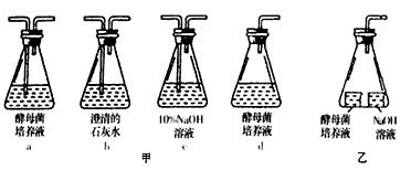 两个生物兴趣小组分别对酵母菌细胞呼吸方式进行了如下的探究实验,请分析回答 (1)甲兴趣小组想探究的具体问题是:酵母菌是否在有氧、 两个生物兴趣小组分别对酵母菌细胞呼吸方式进行了如下的探究实验,请分析回答 (1)甲兴趣小组想探究的具体问题是:酵母菌是否在有氧、