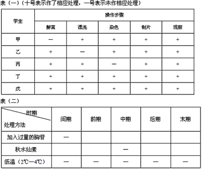在进行“观察植物细胞的有丝分裂”实验中,甲~戊五位同学在剪取洋葱根尖后立即进行的操作步骤如下表表(十号表示作了相应处理,一号表示未作相应 在进行“观察植物细胞的有丝分裂”实验中,甲~戊五位同学在剪取洋葱根尖后立即进行的操作步骤如下表表(十号表示作了相应处理,一号表示未作相应