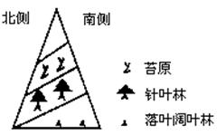 读图某山地垂直自然带分布,回答问题 。小题1:根据该山地的垂直自然带谱判断,该山地所处的温度带可能是A.热带B.亚热带C.温带D.亚寒带小题2:导致山地自然带垂 读图某山地垂直自然带分布,回答问题 。小题1:根据该山地的垂直自然带谱判断,该山地所处的温度带可能是A.热带B.亚热带C.温带D.亚寒带小题2:导致山地自然带垂