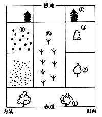 读自然景观地域分异示意图,回答下列问题。自然景观①至②至③至④的变化是以_________为基础产生的,这种地域分 读自然景观地域分异示意图,回答下列问题。自然景观①至②至③至④的变化是以_________为基础产生的,这种地域分