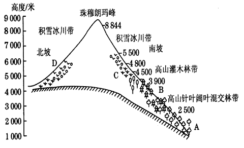 下图是“珠穆朗玛峰地区的自然带分布图”,读图回答下列问题。把下列各自然带的代码填入与图中A、B、C、D对应的位置上。 ①高山草甸带 下图是“珠穆朗玛峰地区的自然带分布图”,读图回答下列问题。把下列各自然带的代码填入与图中A、B、C、D对应的位置上。 ①高山草甸带