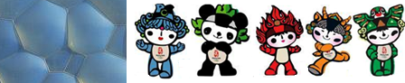 奥运游泳中心“水立方“外膜主要成份是聚乙烯,奥运吉祥物“福娃”是纯羊毛制品.关于这两种材料,下列说法正确的是“水立方”外膜 吉祥物“福娃”A.都是天然材 魔方格