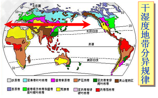读我国部分地区自然带分布示意图,完成下列各题。图中字母代表的自然带或气候名称是: A、_________________ 读我国部分地区自然带分布示意图,完成下列各题。图中字母代表的自然带或气候名称是: A、_________________