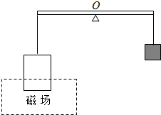 如图所示,一绝缘轻杆长为d,中心固定在转轴O上,左侧挂有一定质量的矩形闭合金属框,下边边长为L并放在匀强磁场中,当在线框中通电流I后,在最右端挂一质量为m的重物 魔方格