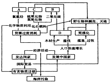 读下图,将正确选项的代号填入对应的空白框内。 A、臭氧层空洞 B、全球变暖 C、酸雨 D、森林锐减 读下图,将正确选项的代号填入对应的空白框内。 A、臭氧层空洞 B、全球变暖 C、酸雨 D、森林锐减