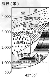 新疆西北部山地地势较低,有几个缺口。某中学研究性学习小组将搜集到的东西走向的天山某山峰(部分)南北坡的垂直地域分异图作为探究学习天山南北坡垂直带谱差异及其 新疆西北部山地地势较低,有几个缺口。某中学研究性学习小组将搜集到的东西走向的天山某山峰(部分)南北坡的垂直地域分异图作为探究学习天山南北坡垂直带谱差异及其