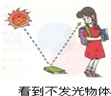 如图所示现象中属于光的折射的是A.B.C.D. 魔方格