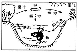 我国是世界上最早出现生态农业布局的国家。很早以前,我国劳动人民就学会了利用桑叶喂蚕,蚕沙(蚕粪)养鱼。塘泥肥桑的方法,创造了 我国是世界上最早出现生态农业布局的国家。很早以前,我国劳动人民就学会了利用桑叶喂蚕,蚕沙(蚕粪)养鱼。塘泥肥桑的方法,创造了