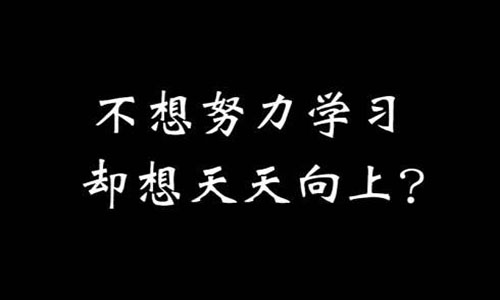 山东专升本大学语文 山东专升本大学语文