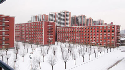 山东专升本大学语文 山东专升本大学语文