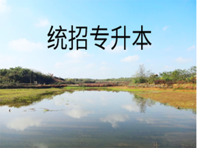 山东专升本英语易混淆词汇辨析汇总(4) 山东专升本英语易混淆词汇辨析汇总(4)