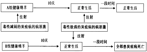 下图是科学家在研究牲口患炭疽病时进行的实验过程示意图。据此回答有关问题: 下图是科学家在研究牲口患炭疽病时进行的实验过程示意图。据此回答有关问题: