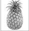 从A、B、C三幅图中找出与你所听内容相符的选项。听两遍。 1. What is Tom's favourite fruit? A B C2. 从A、B、C三幅图中找出与你所听内容相符的选项。听两遍。 1. What is Tom's favourite fruit? A B C2.