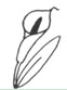 听小对话,选图画,回答问题。( )1. A. B. C. D. ( )2. A. B. C. D. ( )3. A. B. C. D. 听小对话,选图画,回答问题。( )1. A. B. C. D. ( )2. A. B. C. D. ( )3. A. B. C. D.