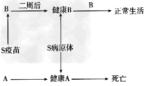 用从未感染过毒性极强的S病原体的健康小鼠A和B做实验,如图所示,回答下列问题:(1)A鼠死亡的原因是什么?(2)B鼠能正常生活的 用从未感染过毒性极强的S病原体的健康小鼠A和B做实验,如图所示,回答下列问题:(1)A鼠死亡的原因是什么?(2)B鼠能正常生活的