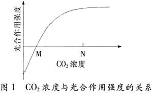 某研究性学习小组开展“环境因素对金鱼藻光合作用强度的影响”的研究，研究装置如下图所示，请回答问题。 (1)光照条件下，瓶中金