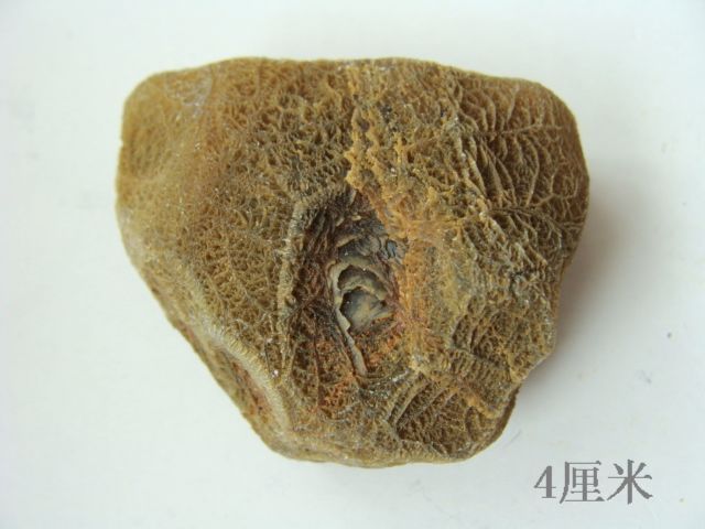 生活中的化学知识大全用化学知识品鉴时尚
