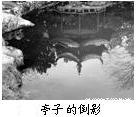 如图所示的现象中,属于光的折射现象的是A.B.C.D. 魔方格