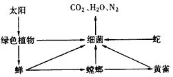 下图表示一个生态系统,请据图回答下列问题。(1)图中除阳光、CO2、H2O、N2以外,其余部分总称为________。(2)在生 下图表示一个生态系统,请据图回答下列问题。(1)图中除阳光、CO2、H2O、N2以外,其余部分总称为________。(2)在生