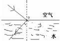 如图中能正确表示光从空气射向水中的是A.B.C.D.