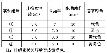 中国的饮食讲究“色香味”,颜色会影响消费。小李同学拟研发“绿色”食用色素,他以生长很快的入侵植物水葫芦为材料进行如下实验。Ⅰ.提 中国的饮食讲究“色香味”,颜色会影响消费。小李同学拟研发“绿色”食用色素,他以生长很快的入侵植物水葫芦为材料进行如下实验。Ⅰ.提