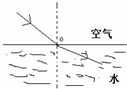 如图中能正确表示光从空气射向水中的是A.B.C.D.