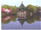 如图所示现象中,由于光的折射形成的是A. 海市蜃楼B. 小孔成像C. 钢笔好像错位了D. 水中倒影 魔方格
