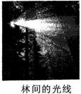 如图所示的现象中,属于光的折射现象的是A.B.C.D. 魔方格