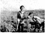 听选单词或句子:听下列录音,选择你所听到的单词、短语或图画。( ) 1. A. study ( ) 2. A. practi 听选单词或句子:听下列录音,选择你所听到的单词、短语或图画。( ) 1. A. study ( ) 2. A. practi