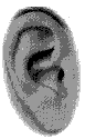 听句子,选出相应的图画。A. B. C. D. E. 1. 2. 3. 4. 5. 听句子,选出相应的图画。A. B. C. D. E. 1. 2. 3. 4. 5.