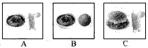 听句子,选择与其相符的图片。( ) 1. A.( ) 2. A.( ) 3. A.( ) 4. A.( ) 5. A. 听句子,选择与其相符的图片。( ) 1. A.( ) 2. A.( ) 3. A.( ) 4. A.( ) 5. A.
