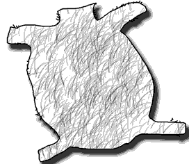 听句子,选择正确图片。每个句子读一遍。( )1. A. B. C. ( )2. A. B. C. ( )3. A. B. C. ( )4. A. B. 听句子,选择正确图片。每个句子读一遍。( )1. A. B. C. ( )2. A. B. C. ( )3. A. B. C. ( )4. A. B.