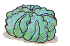 看图听句子,选择与句意一致的图画。( )1. A. B. C. ( )2. A. B. C. ( )3. A. B. C. ( )4. A. 看图听句子,选择与句意一致的图画。( )1. A. B. C. ( )2. A. B. C. ( )3. A. B. C. ( )4. A.