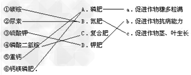 将下列左项、中项、右项相关的项目用线连接起来.左项 中项右项①碳铵 A.磷肥 a.促进作物穗多粒满②尿素 B.氮肥 b.促进作物抗病能力③硫酸 将下列左项、中项、右项相关的项目用线连接起来.左项 中项右项①碳铵 A.磷肥 a.促进作物穗多粒满②尿素 B.氮肥 b.促进作物抗病能力③硫酸