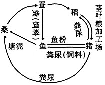 我国南方某些地区建立了“桑基鱼塘”农业生态系统,获得了鱼、猪、蚕和粮全面丰收。下图是该生态系统的物质循环和能量流动示意图。请据图回答问题。 我国南方某些地区建立了“桑基鱼塘”农业生态系统,获得了鱼、猪、蚕和粮全面丰收。下图是该生态系统的物质循环和能量流动示意图。请据图回答问题。