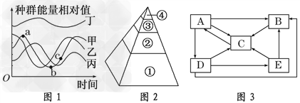 下图是某一生态系统中部分生物的食物关系及碳循环示意图。请据图回答问题:(1)图2能量金字塔中各营养级对应于图1中的名称:①_________;③ 下图是某一生态系统中部分生物的食物关系及碳循环示意图。请据图回答问题:(1)图2能量金字塔中各营养级对应于图1中的名称:①_________;③