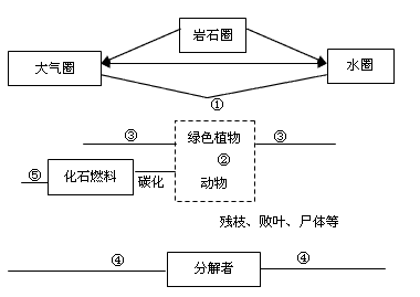 下图为生物圈中碳循环示意图,请根据图回答问题:(1)碳在无机环境中的主要存在形式是_______________,在生物群落中的主要存在形式是_ 下图为生物圈中碳循环示意图,请根据图回答问题:(1)碳在无机环境中的主要存在形式是_______________,在生物群落中的主要存在形式是_