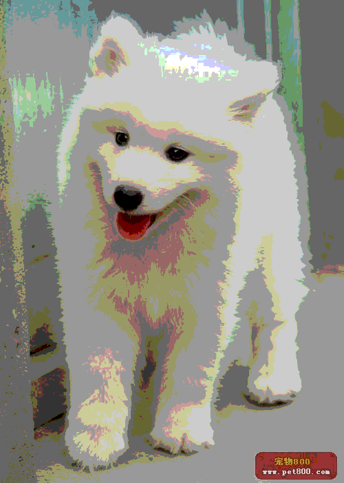 根据所听到的内容,选择相应的图画。( )1. A. B. C. ( )2. A. B. C. ( )3. A. B. C. ( )4. A. 根据所听到的内容,选择相应的图画。( )1. A. B. C. ( )2. A. B. C. ( )3. A. B. C. ( )4. A.