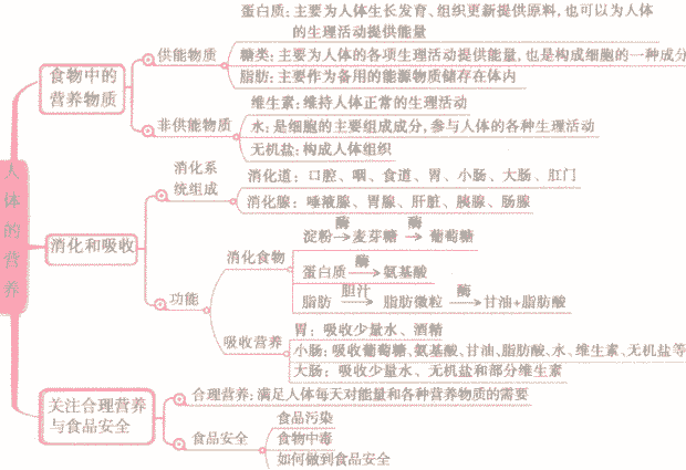 人体的营养知识点