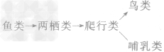 生命起源和生物进化知识点