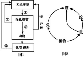 哥本哈根世界气候大会全称《联合国气候变化框架公约》第15次缔约方会议暨《京都议定书》第5次缔约方会议,于2009年12月7~18日在丹麦首都哥本哈根 哥本哈根世界气候大会全称《联合国气候变化框架公约》第15次缔约方会议暨《京都议定书》第5次缔约方会议,于2009年12月7~18日在丹麦首都哥本哈根