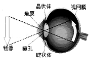 材料一:在探究凸透镜成像规律的实验中,小明好奇地把自己的近视眼镜放在蜡烛和凸透镜之间,移动光屏,发现仍可以在屏幕上成像,拿 材料一:在探究凸透镜成像规律的实验中,小明好奇地把自己的近视眼镜放在蜡烛和凸透镜之间,移动光屏,发现仍可以在屏幕上成像,拿