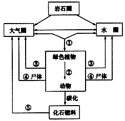 根据下面的碳循环示意图回答问题:(1)从微观上看,过程③主要是在细胞内_________进行的。(2)碳从无机环境进入生物群落的 根据下面的碳循环示意图回答问题:(1)从微观上看,过程③主要是在细胞内_________进行的。(2)碳从无机环境进入生物群落的
