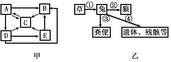 请据图回答下列有关生态系统的问题:(1)甲图是生态系统碳循环示意图(其中B是分解者),图中_________(填字母)是生态系统 请据图回答下列有关生态系统的问题:(1)甲图是生态系统碳循环示意图(其中B是分解者),图中_________(填字母)是生态系统