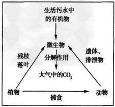 城市发展过程中,随着人口不断增加,生活污水处理越来越困难,如何科学有效地处理生活污水,成为城市发展亟待解决的问题。建立人工湿地公园是一种首选方案,可 城市发展过程中,随着人口不断增加,生活污水处理越来越困难,如何科学有效地处理生活污水,成为城市发展亟待解决的问题。建立人工湿地公园是一种首选方案,可