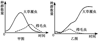 为研究人工生态系统中大草履虫和栉毛虫间捕食关系的影响因素,设计两组实验:实验一:在培养液中依次加入大草履虫和栉毛虫,得到种群数量变化曲线(见甲图);实验二 为研究人工生态系统中大草履虫和栉毛虫间捕食关系的影响因素,设计两组实验:实验一:在培养液中依次加入大草履虫和栉毛虫,得到种群数量变化曲线(见甲图);实验二