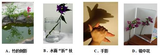 下列各种现象中, 由于光的直线传播形成的是 下列各种现象中, 由于光的直线传播形成的是