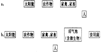 下图是两个农业生态系统的结构模式图。图a表示农作物为人类提供的食物、为家禽和家畜提供的饲料,这些都与图b相同。(1)请根据图a、 下图是两个农业生态系统的结构模式图。图a表示农作物为人类提供的食物、为家禽和家畜提供的饲料,这些都与图b相同。(1)请根据图a、